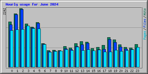 Hourly usage for June 2024