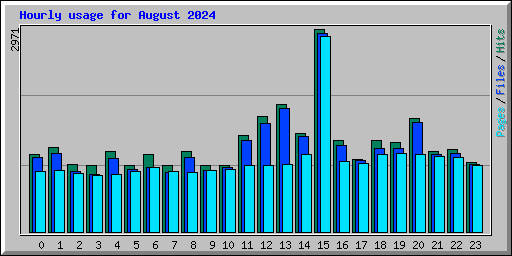 Hourly usage for August 2024