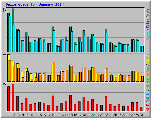 Daily usage for January 2024