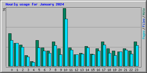 Hourly usage for January 2024