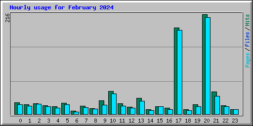 Hourly usage for February 2024